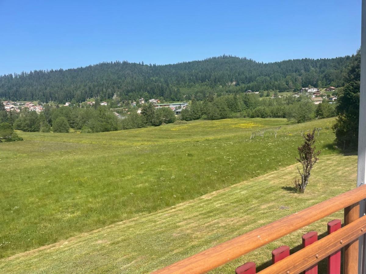 Chalet Le Cedre Bleu 10 P - 10 Min De Gerardmer Le Tholy Kültér fotó